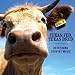 Search : Texas Fed, Texas Bred: Redefining Country Music, Vol. 2