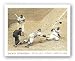 Jackie Robinson Stealing Home May 18, 1952 by Rachel Robinson 28"x22" Art Print Poster