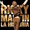 Best of Ricky Martin
