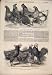 Poultry Great Yarmouth Exhibition Chicken Bantam 1852