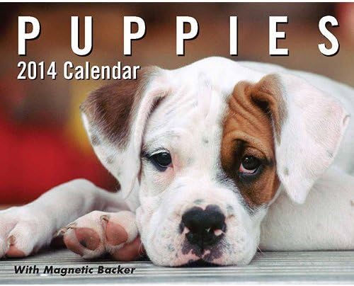 2014 PUPPIES Magnetic MINI Box CALENDAR (Size 3.8" X 3" X 1.6")