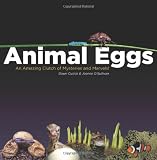 Animal Eggs