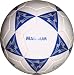 Suchen : Fussball Magnum Trainingsball