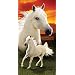 White Horse and Colt Sunrise Terry Velour Beach/Bath Towel
