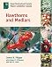 Book Hawthorns and Medlars (Royal Horticultural Society / Timber Press Plant Collectors)