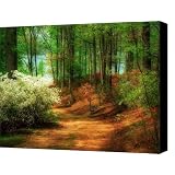 Favorite Path Canvas Print / Canvas Art - Artist Lois Bryan
