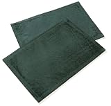 2 Placemats Chenille Forest