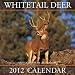 2012 Whitetail Deer Wall calendar