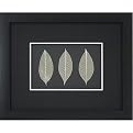 Leaves Collage on Black Wall Art - 18x14"