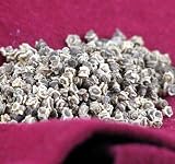 Lipstick Swiss Chard Sprouting Seeds - 10 grams -Earthy