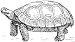 2.25 inch (58mm) Round Badge Style Fridge Magnet Line Drawing Tortoise