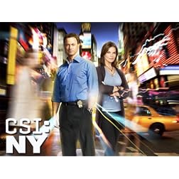 CSI: NY, Season 08