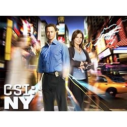 CSI: NY, Season 08