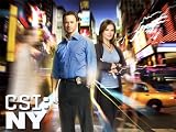 CSI: NY, Season 08