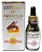 Polenectar Brazil Imported Premium Bee Propolis Extract Wax Free 60 (30ml) from Polenectar