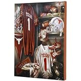 Pillow Pets U-CANVAS WALL ART TEXAS