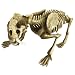 Magnext Magna Bones Saber Tooth Tiger
