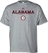 Alabama Crimson Tide Grey Adidas Impervious T-Shirt