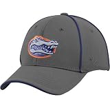 Zephyr Florida Gators Gray Haze Z-Fit Hat