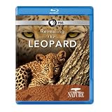 Nature: Revealing the Leopard [Blu-ray]