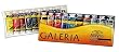Winsor & Newton Galeria Acrylic 10 Tube Set