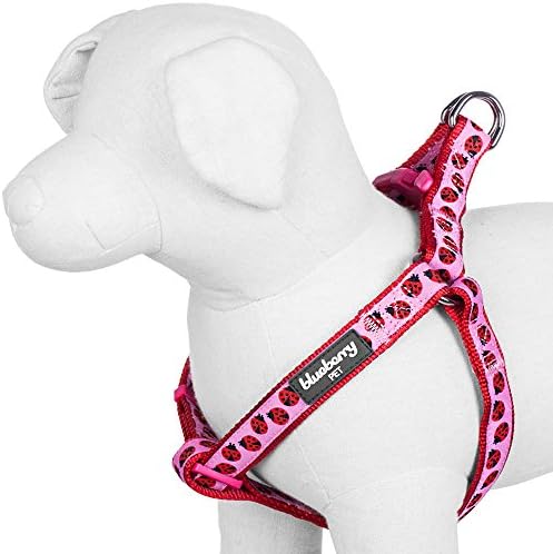 Blueberry Pet Step-in Harnesses For Dog Ladybug Designer No Pull Dog Harness Adjustable , Nylon 5/8" Small