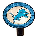 Detriot Lions Art Glass Night Light