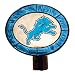 Detriot Lions Art Glass Night Light