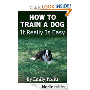 How To Train A Dog - It Really Is Easy Emily Pruitt and Todd Pruitt