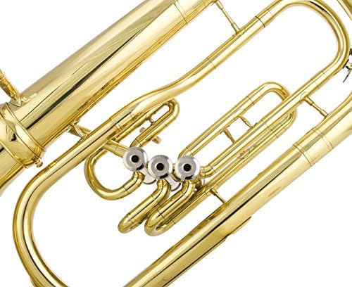 Glory Advanced GEU3M Bb Flat Marching Euphonium with Case and Mouthpiece,Gold finish,Click to see more Choice