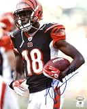 A.J. Green Autographed Cincinnati Bengals Photo - 8x10 GAI - Autographed NFL Photos