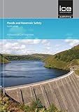 Floods and reservoir safety
