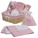 Deluxe Pink Infant Gift Basket