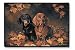   - Dachshund Doormat2008