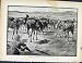 Boer War By Richard Danes Mounted Infantry Halting