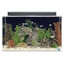 SeaClear Rectangular Aquarium Combo Color:Clear