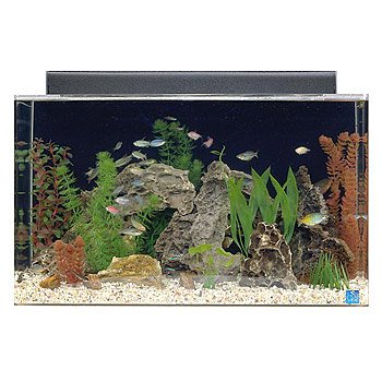 SeaClear Rectangular Aquarium Combo (Clear)