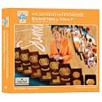 Tennessee Lady Vols Basketball Vault by Debbie Jennings