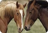 Rikki Knight Two Horses Together Large Tempered Glass Cutting Board Workspace Saver - Measures 15.74in x 11.8in