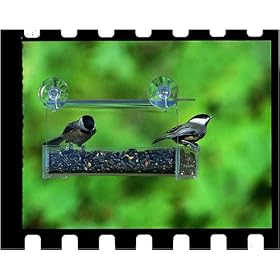 Duncraft Classic Window Pane Feeder by 