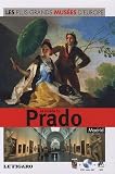 Acheter le livre Le musée du Prado, Madrid – Vol.6 Avec dvd-rom