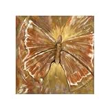 Butterfly Dreaming 2 by Bob Rosati- 22x27