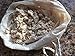 Organic Cotton Nut Milk Bag - by Dancing TreePeople Organic Farm.