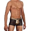 Appolo Biker Men's Stretch Mesh Boxer Underwear By Gregg Homme