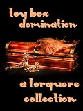 Toy Box: Domination (The Hammer Club)