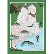 Vacationland Jigsaw Puzzle 1000pc