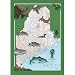 Vacationland Jigsaw Puzzle 1000pc