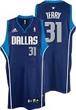 : Jason Terry Dallas Mavericks Navy Swingman Adidas NBA Jersey