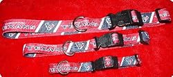 LARGE COLLAR - Houston Texans - NFL Dog Collars