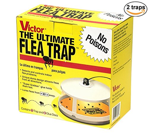 Victor M230 Ultimate Flea Trap (Pack of 2, Multy) Victor M230 Ultimate Flea Trap (Pack of 2, Multy)